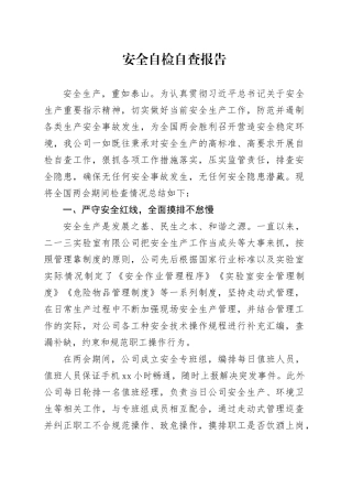 安全报告 - 副本