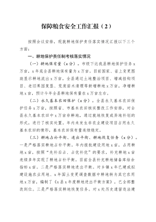 保障粮食安全工作汇报（2）
