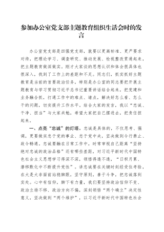 参加办公室党支部主题教育组织生活会时的发言