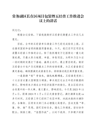 常务副区长在区项目包装暨五经普工作推进会议上的讲话
