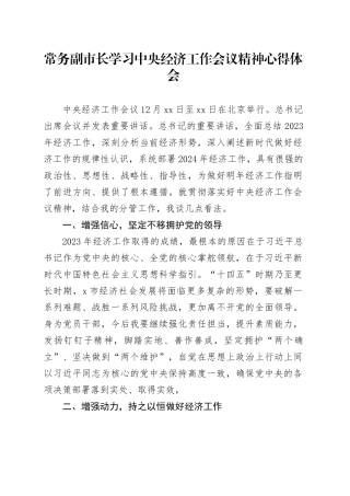 常务副市长学习中央经济工作会议精神心得体会