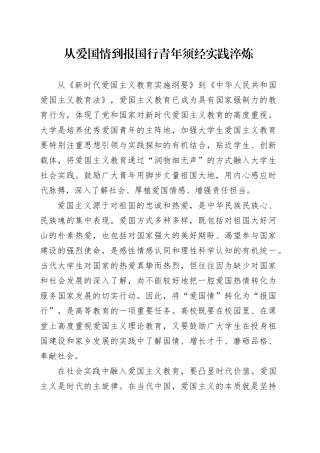从爱国情到报国行 青年须经实践淬炼