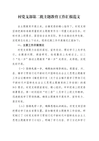 村支部第二批主题教育工作汇报总结报告