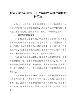村支部书记党的二十大精神个人检视剖析材料村干部问题对照检查231204