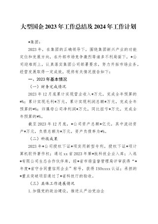大型国企2023年工作总结及2024年工作计划