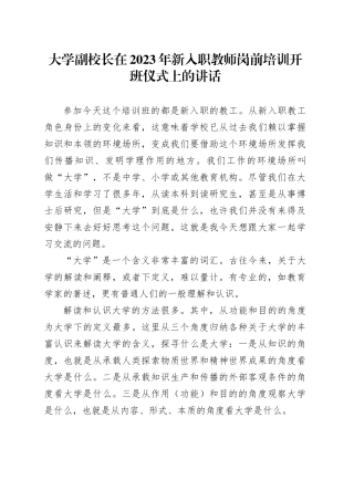 大学副校长在2023年新入职教师岗前培训开班仪式上的讲话
