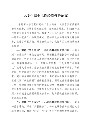 大学生就业工作经验材料高校学院总结汇报报告