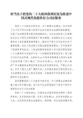 担当实干把党的二十大精神落到实处 为推进中国式现代化提供有力司法服务