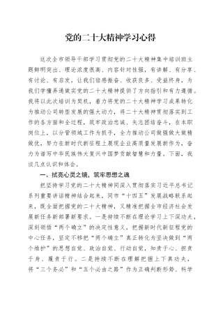 党的二十大精神学习心得