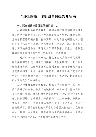 党建引领乡村振兴工作情况汇报