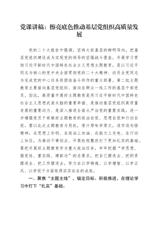 党课：擦亮底色 推动基层党组织高质量发展