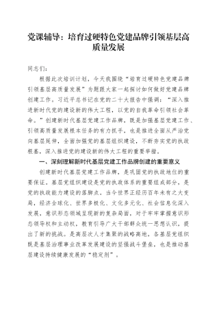 党课辅导：培育过硬特色党建品牌 引领基层高质量发展