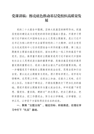 党课讲稿：擦亮底色 推动基层党组织高质量发展