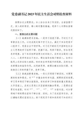 党委副书记2023年民主生活会对照检查材料