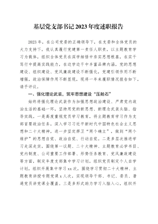 基层党支部书记2023年度述职报告