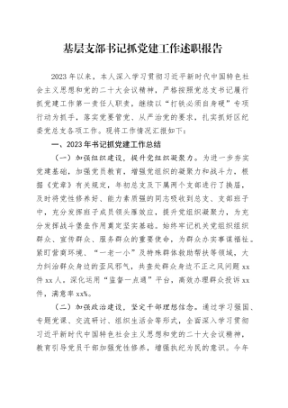 基层支部书记抓党建工作述职报告（20231222）