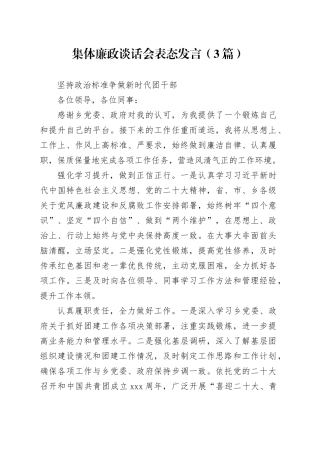 集体廉政谈话会表态发言（3篇）