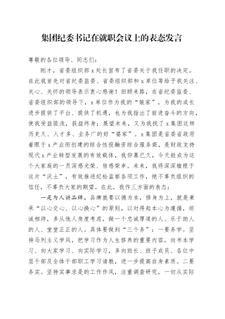 集团纪委书记在就职会议上的表态发言