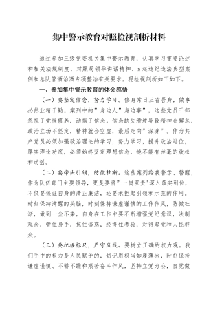 集中警示教育对照检视剖析材料 （2）