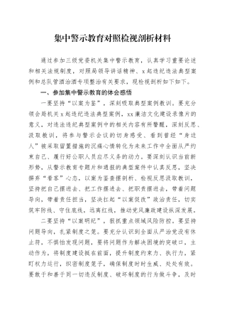 集中警示教育对照检视剖析材料 （3）