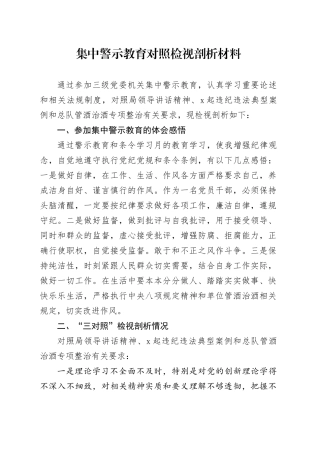 集中警示教育对照检视剖析材料 （4）