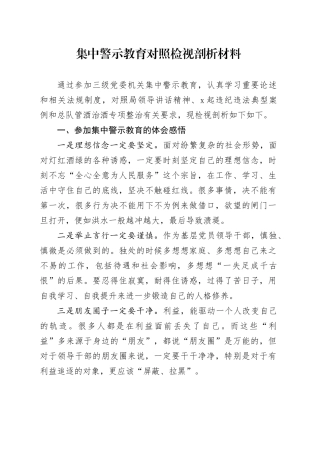 集中警示教育对照检视剖析材料 （5）