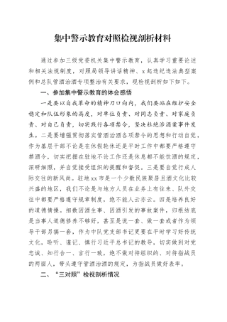 集中警示教育对照检视剖析材料