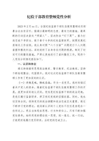 纪检干部教育整顿党性分析