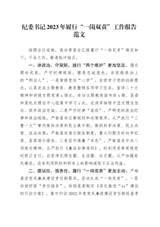 纪委书记2023年一岗双责工作报告总结汇报20240108