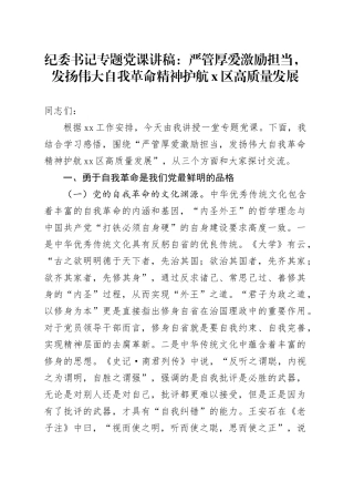 纪委书记专题党课：严管厚爱激励担当，发扬伟大自我革命精神护航X区高质量发展