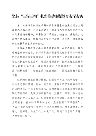 坚持“三深三细” 扎实推动主题教育走深走实
