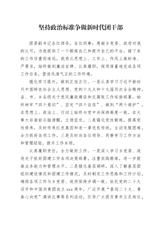 坚持政治标准 争做新时代团干部