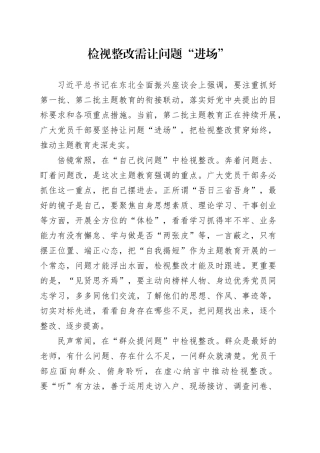 检视整改需让问题“进场”