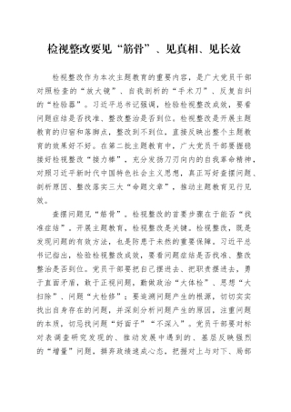 检视整改要见“筋骨”、见真相、见长效