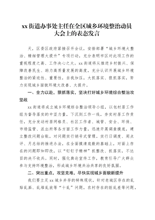 街道办事处主任在全区城乡环境整治动员大会上的表态发言