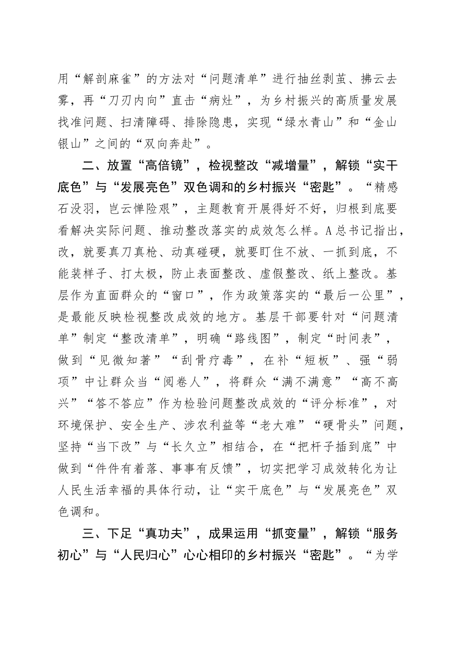街道党员干部主题教育研讨材料：藏于“整改之履”的乡村振兴“密匙”_第2页
