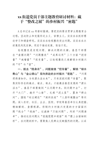街道党员干部主题教育研讨材料：藏于“整改之履”的乡村振兴“密匙”