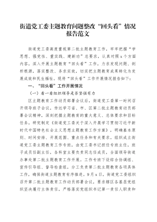 街道第二批主题教育问题整改回头看工作报告总结汇报20231124