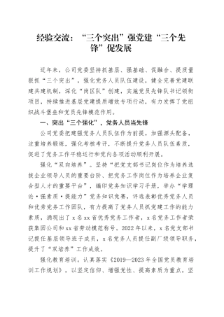经验交流：“三个突出”强党建“三个先锋”促发展
