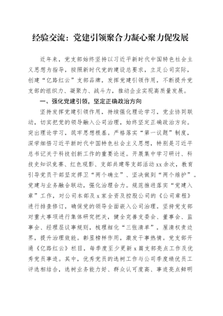 经验交流：党建引领聚合力 凝心聚力促发展