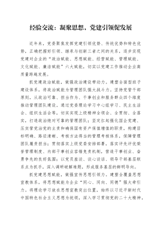 经验交流：凝聚思想，党建引领促发展