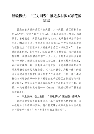经验做法：“三力同发”推进乡村振兴示范区建设