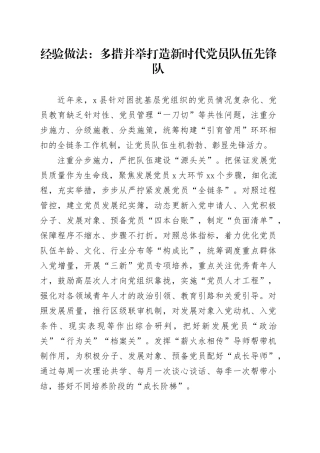 经验做法：多措并举打造新时代党员队伍先锋队