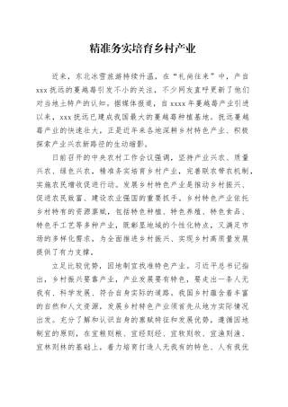 精准务实培育乡村产业