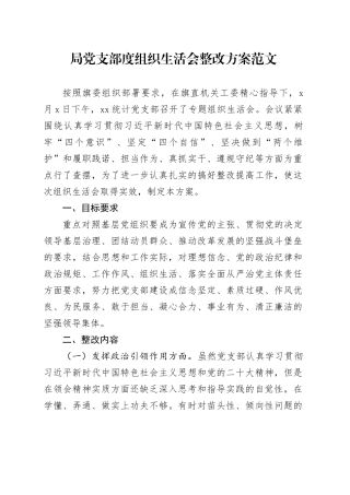 局党支部度组织生活会整改方案工作实施20231227