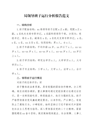 局领导班子运行分析报告汇报总结含成员评价表现