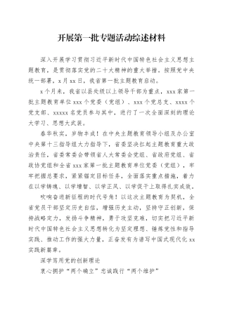 开展第一批专题活动综述材料