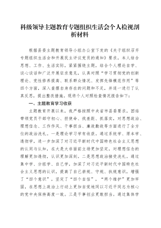 科级领导主题教育专题组织生活会个人检视剖析材料