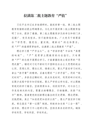 拉满第二批主题教育“严值”