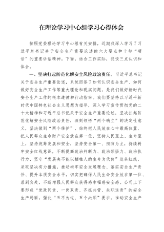 理论学习中心组安全生产重要论述心得体会
